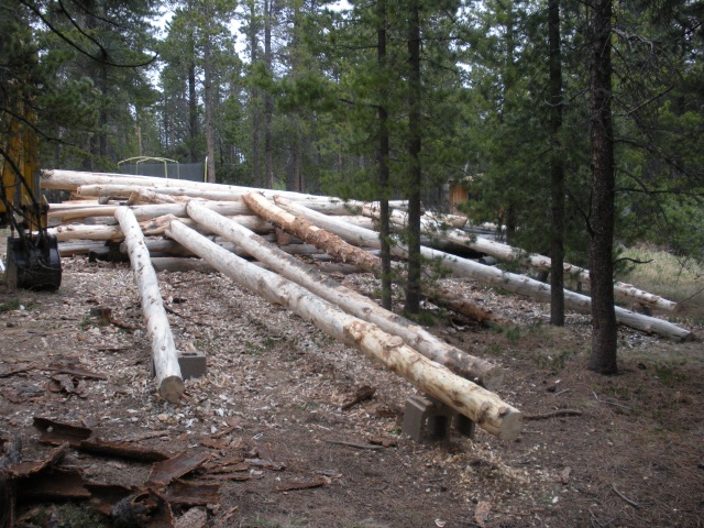 Larimer County Builder